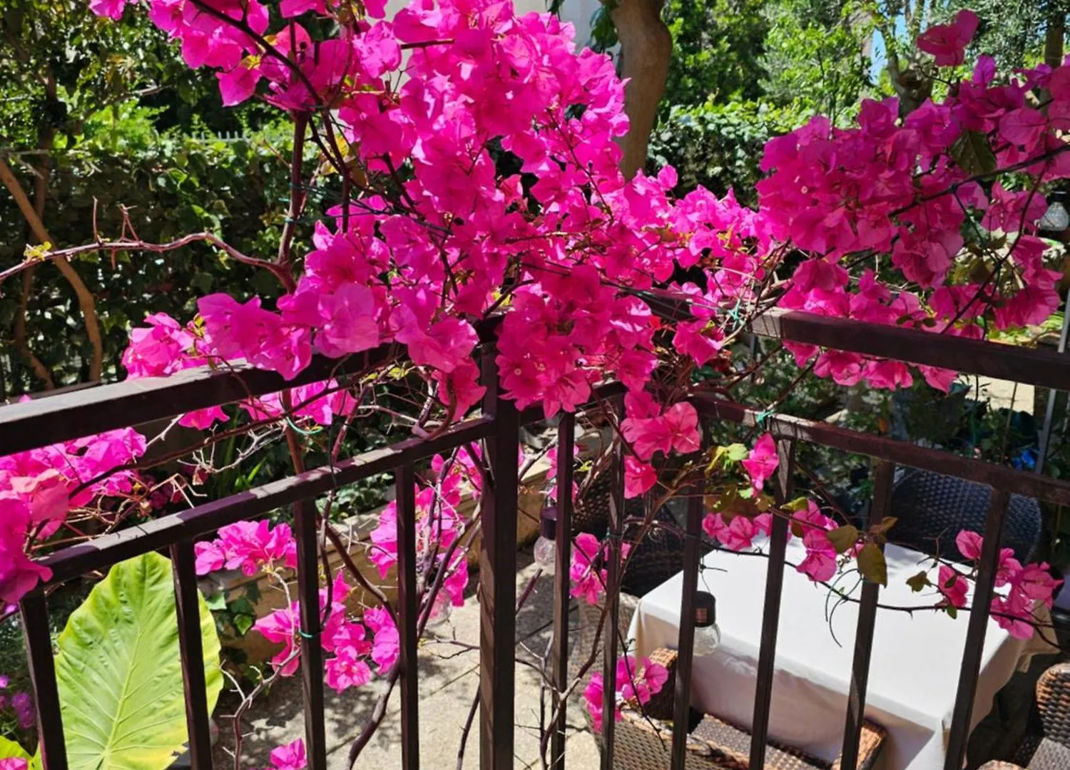 Apartment Kalu Mali Losinj Croatia